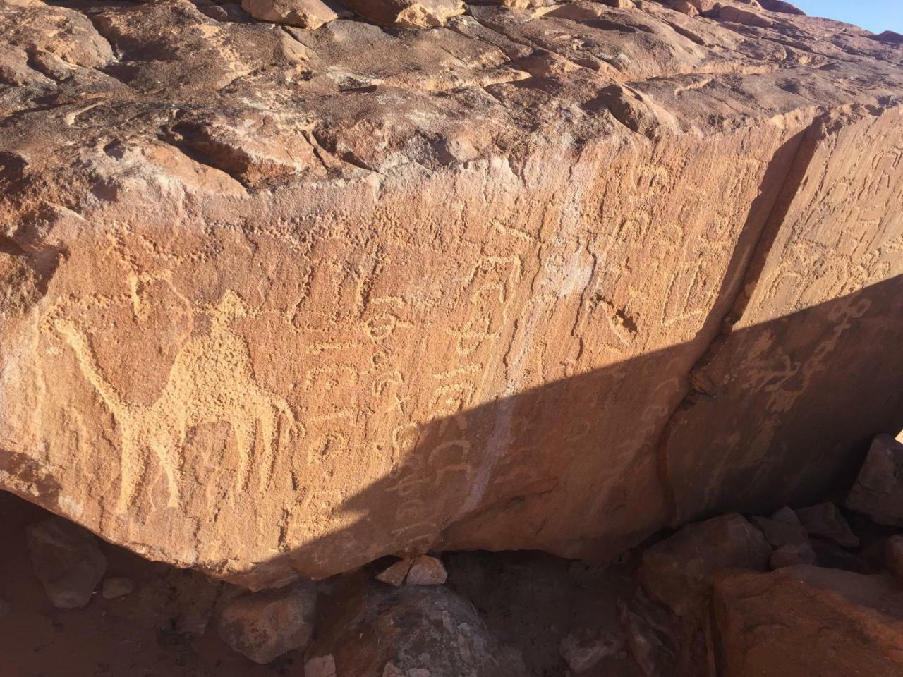 Friend Wadi Rum Extérieur photo