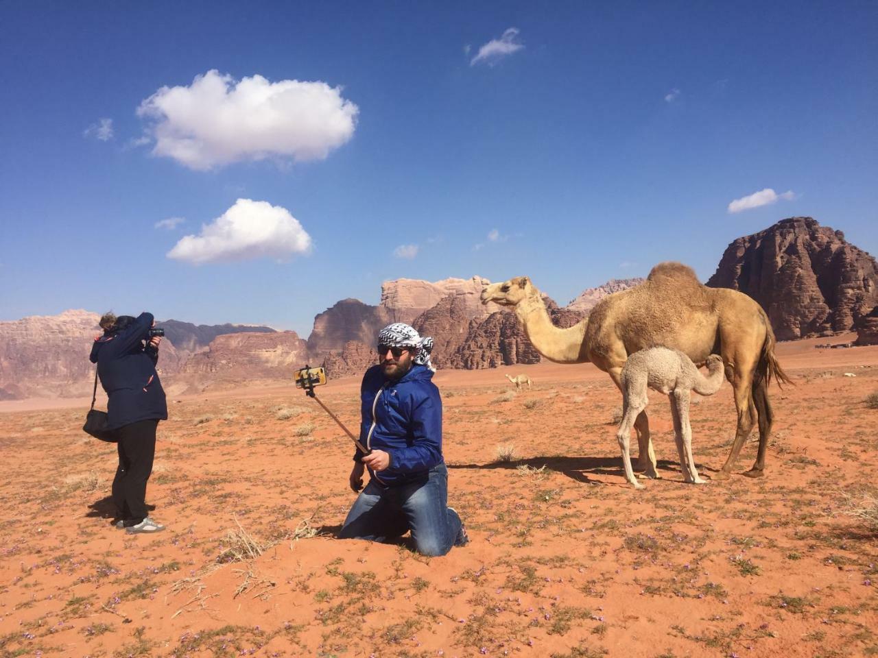 Friend Wadi Rum Extérieur photo